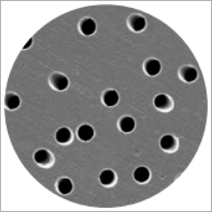Membranas de Poliéster Track Etched (PETE)